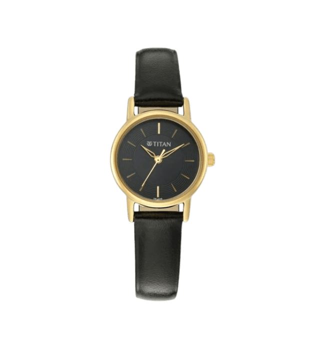 Titan Titan Quartz Analog Black Dial for Women NP2593YL03